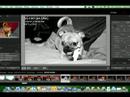 Nasıl Adobe Lightroom Kullanımı : Aydınlatma Modülü Geliştirmek Kullanarak  Resim 3