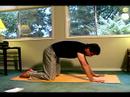 Hatha Yoga Pozlar & Öğretim : Hatha Yoga Kedi İnek Döngüleri 