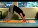 Hatha Yoga Pozlar & Öğretim : Tablo Hatha Yoga Poz  Resim 3