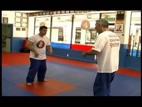 Karışık Dövüş Sanatları Teknikleri: Mma Bacaklar İçin Gidiş