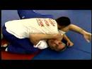 Karışık Dövüş Sanatları Teknikleri: Bacak Atmak Hareket Mma Resim 3