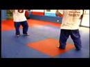 Karışık Dövüş Sanatları Teknikleri: Bacak Tekme Hareket Mma Resim 3