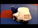 Karışık Dövüş Sanatları Teknikleri: Mma Yere İş Giriş Videosu Resim 3