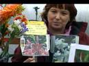 Nasıl Sizin İçin Doğru Yaz Çiçek Ampul: Doğru Lily Ampuller Bahçe İçin Seçin Resim 3