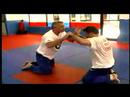 Karışık Dövüş Sanatları Teknikleri: Mma Yere İş Giriş Videosu Resim 4