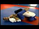Karışık Dövüş Sanatları Teknikleri: Mma Zemin Çalışma Öğrenme Resim 4