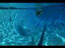 Yüzmeyi Rekabetçi Kurbağalama : Kurbağalama Sualtı Matkaplar  Resim 4