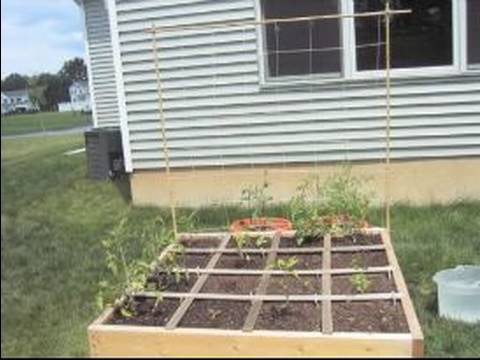 Kaç Metrekare Bahçeleri Bitki : Kare Ayak Bahçe İpuçları Özeti 