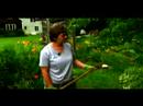 Nasıl Uzun Ömürlü Bahçe Başlatmak İçin: Bir Uzun Ömürlü Bahçesinde İnvaziv Tesisleri Resim 3