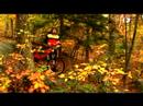 Dik Arazi Dağ Bisikleti İçin Fren: İpuçları İçin Sarp Arazide Remounting Zaman Dağ Bisikleti