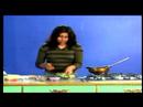 Hint Mercimek Nasıl Yapılır & Hint Kırmızı Biber : Hindistan Capiscum Pişirirken Tavaya Yağ Ekleyerek  Resim 3