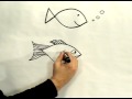 Kolay Karikatür Çizim: Nasıl Bir Çizgi Film Balık Beraberlik İçin Resim 4