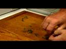 Nasıl Cajun Grillades Yapmak: Kekik Grillades Ve Sos İçin Hazırlanıyor Resim 4