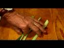Karides Ve Jambon İle Doldurulmuş Mantar Yapmak İçin Nasıl : Zar Yapımı Mantar Dolması İçin Kereviz Nasıl  Resim 3