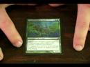 Magic The Gathering: Yeşil Kart İçin Rehber: Pürüzlü Okçular Magic The Gathering'da Yeşil Kart Resim 3