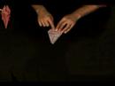 Nasıl Bir Origami Edelweiss Yapmak İçin : Origami Edelweiss Merkezi İçin Katlanır Puan 