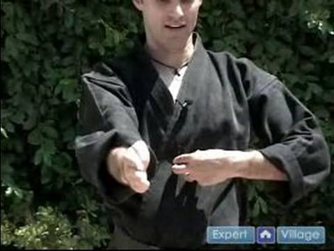 Gelişmiş Okinawa Kempo Karate: Nasıl Bir Mızrak El Kempo Karate