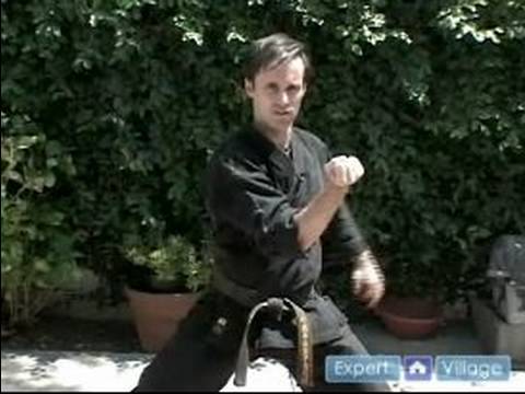 Gelişmiş Okinawa Kempo Karate: Nasıl Bir Yumruk Kempo Karate Engellemek İçin Resim 1