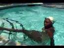 Senkronize Yüzme Dersleri: Bale Bacak Senkronize Yüzme Rakamlar İçin Resim 3