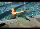 Rekabetçi Serbest Stil Yüzmeyi : Serbest Stil Yüzmede Kolların Nasıl Hareket 