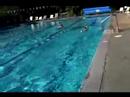 Yüzmeyi Rekabetçi Freestyle : Mesafe Serbest Stil Yüzme İpuçları