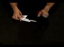 Nasıl Cennet Bir Origami Kuş Yapmak İçin : Cennet Origami Kuş Kuyruğu Üzerinde Çalışıyor  Resim 3