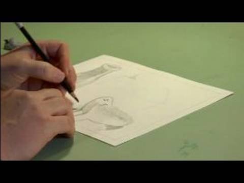 Nasıl Coquille Kağıt Üzerinde Hala Bir Hayat Çizmek İçin : Natürmort Çizimi İçin Koyu Tonlar Ekleme 
