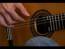 Flamenko Gitar İmpetu Oyun : Oyun 