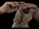 Nasıl Dansçı Figürler Heykeltraşlık: Nasıl Silah İki Dansçı Figürler Heykeltraşlık İçin Resim 3