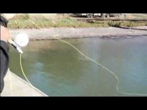 Teknikleri Döküm Balıkçılık Sinek: Nasıl Bir Rulo Yapmak İçinde Döküm Balıkçılık Fly Resim 1