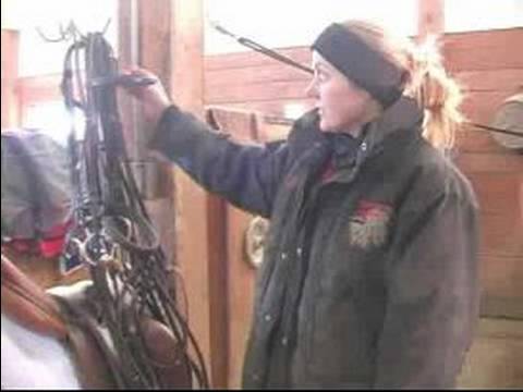 Nasıl Bir At Kadar Tack Yapılır: Nasıl Temiz Ve Tack Depolamak İçin Resim 1