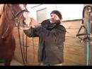 Nasıl Bir At Kadar Tack Yapılır: Nasıl Bir At Gem Flash İle Ayarlamak İçin Resim 3