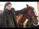 Nasıl Küçük Bir At İçin: Nasıl Bir At Kulakları Küçük Resim 3