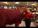 Nasıl Seçmek Ve At Kullanmak İçin Battaniye: Nasıl Bir At Battaniyesi Senin At Nalı Vücut Tipi İçin Uygun Resim 3