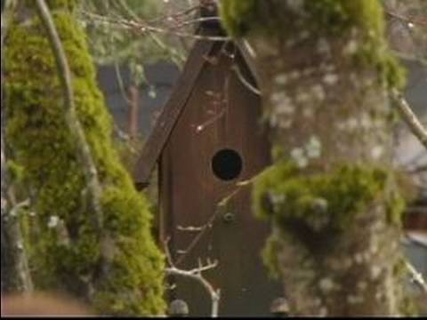 Nasıl Bahçe Pick Süslemeler Yapılır: Çekme Bahçe Kuş Evleri Yapmayı Resim 1