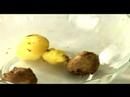 Hint Patates Masala Tarifi : Hint Patates İçin Patatesleri Soymaya Masala