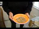 Yapma Sıcak Hububat Ve Kepekli Tahıllar: Sıcak Mısır Gevreği Yemek İçin İpuçları Resim 4