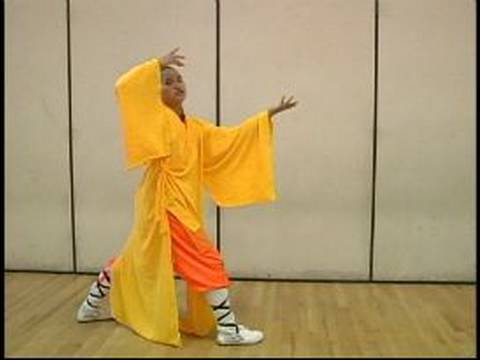 Elmas Yumruk Shaolin Kung Fu : Kung Fu Elmas Yumruk Hamle 3