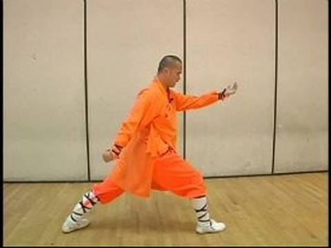 Elmas Yumruk Shaolin Kung Fu : Shaolin Boks Sürekli Hareket 3