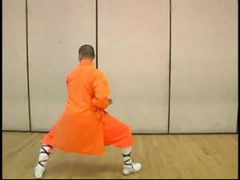 Elmas Yumruk Shaolin Kung Fu : Shaolin Boks Sürekli Hareket 4