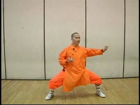 Elmas Yumruk Shaolin Kung Fu : Shaolin Sürekli Boks Hamle 1 Resim 1