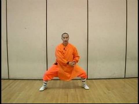 Elmas Yumruk Shaolin Kung Fu : Shaolin Sürekli Boks Hamle 2