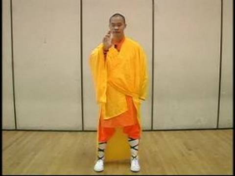 Shaolin Dövüş Sanatları Meditasyon Egzersizleri : Ayakta Budist Meditasyon