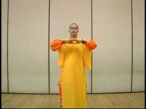 Shaolin Dövüş Sanatları Meditasyon Egzersizleri : Baduanjin Qigong 1 & 2 Egzersizleri  Resim 1