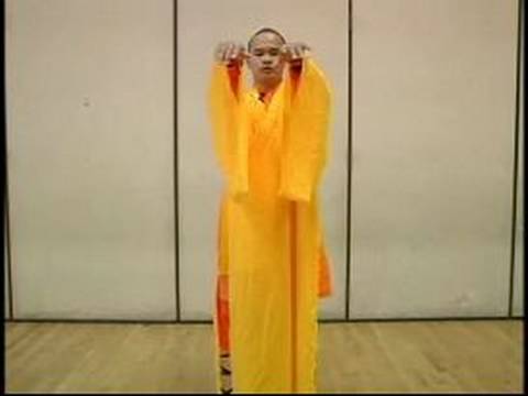 Shaolin Dövüş Sanatları Meditasyon Egzersizleri : Shaolin Gücü Palm Eğitim 2
