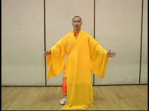 Shaolin Dövüş Sanatları Meditasyon Egzersizleri : Shaolin Gücü Palm Eğitimi 1 Resim 1