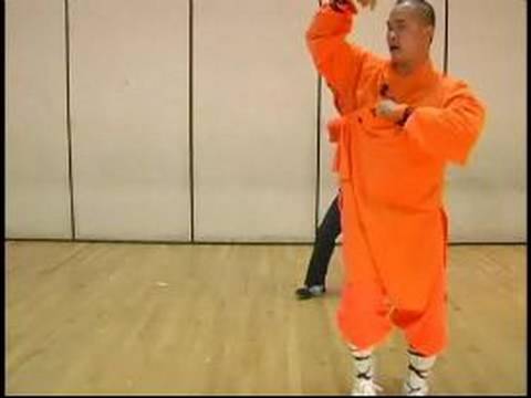 Shaolin Küçük Kırmızı Boks Ve Uzun Yumruk Formlar: Küçük Kırmızı Boks Hamle Kung Fu 37-42
