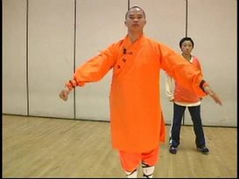 Shaolin Küçük Kırmızı Boks Ve Uzun Yumruk Formlar: Kung Fu Uzun Yumruk Hamle 1-6 Resim 1