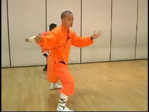Shaolin Küçük Kırmızı Boks Ve Uzun Yumruk Formlar: Kung Fu Uzun Yumruk Hamle 19-24