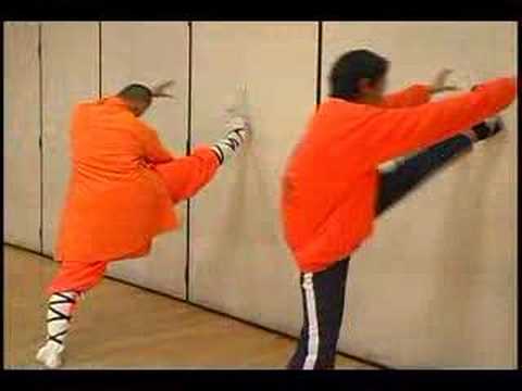 Shaolin Kung Fu Uzanır Ve Hamle: Shaolin Kung Fu Gelişmiş Uzanır